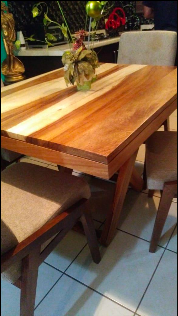 Comedor de Parota2